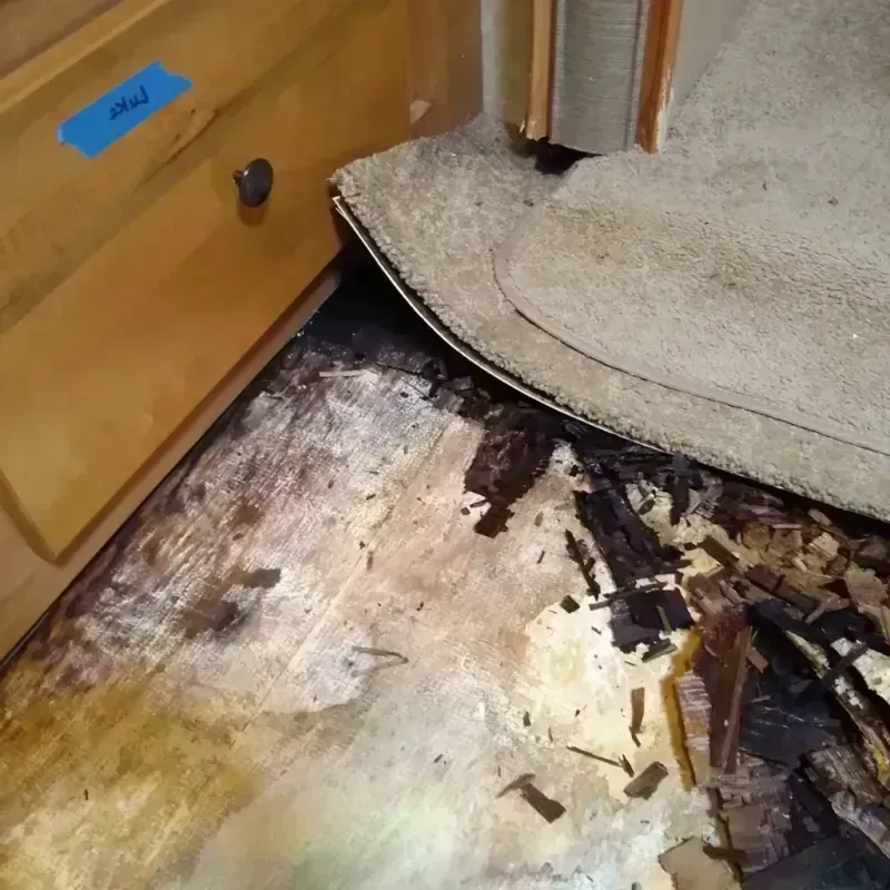 Wood Floor Water Damage in Laurens County, SC